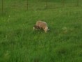 /album/beeeee/snimek-063-jpg/